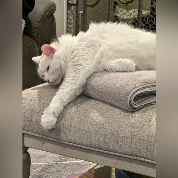 Meet your Posher, Kimberly - Picture 11 of 13